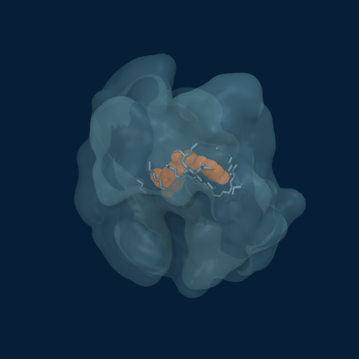 MD frame 1: Initial contact — 65% surface buried