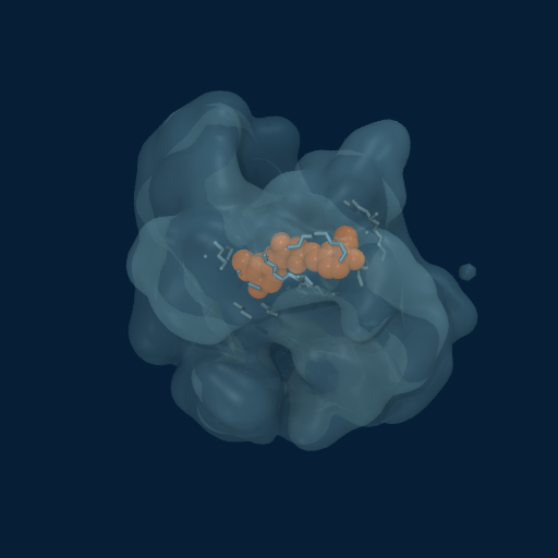 MD frame 3: Pocket forming — 81% surface buried